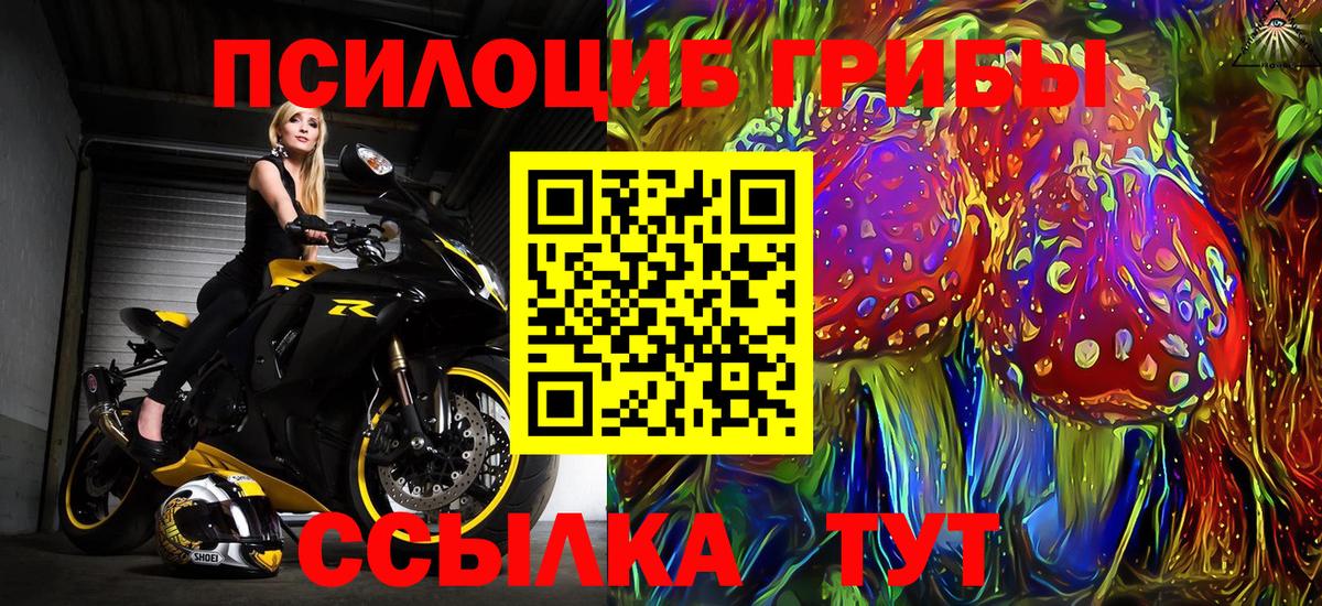 Дмитров  Галлюциногенные грибы GOLDEN TEACHER  Вход с VPN 